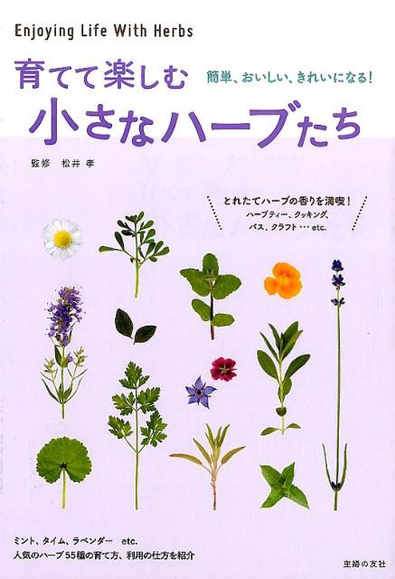 【中古】育てて楽しむ小さなハ-ブたち 簡単、おいしい、きれいになる！/主婦の友社/松井孝（単行本（ソフトカバー））
