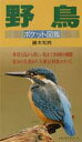 【中古】野鳥ポケット図鑑/主婦の友社(文庫)
