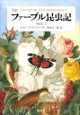 【中古】完訳ファ-ブル昆虫記 第6巻 下/集英社/ジャン・アンリ・ファ-ブル(単行本)