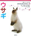 【中古】ウサギ/集英社/小宮輝之(ムック)