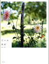 【中古】花の本/集英社/雅姫(単行本)