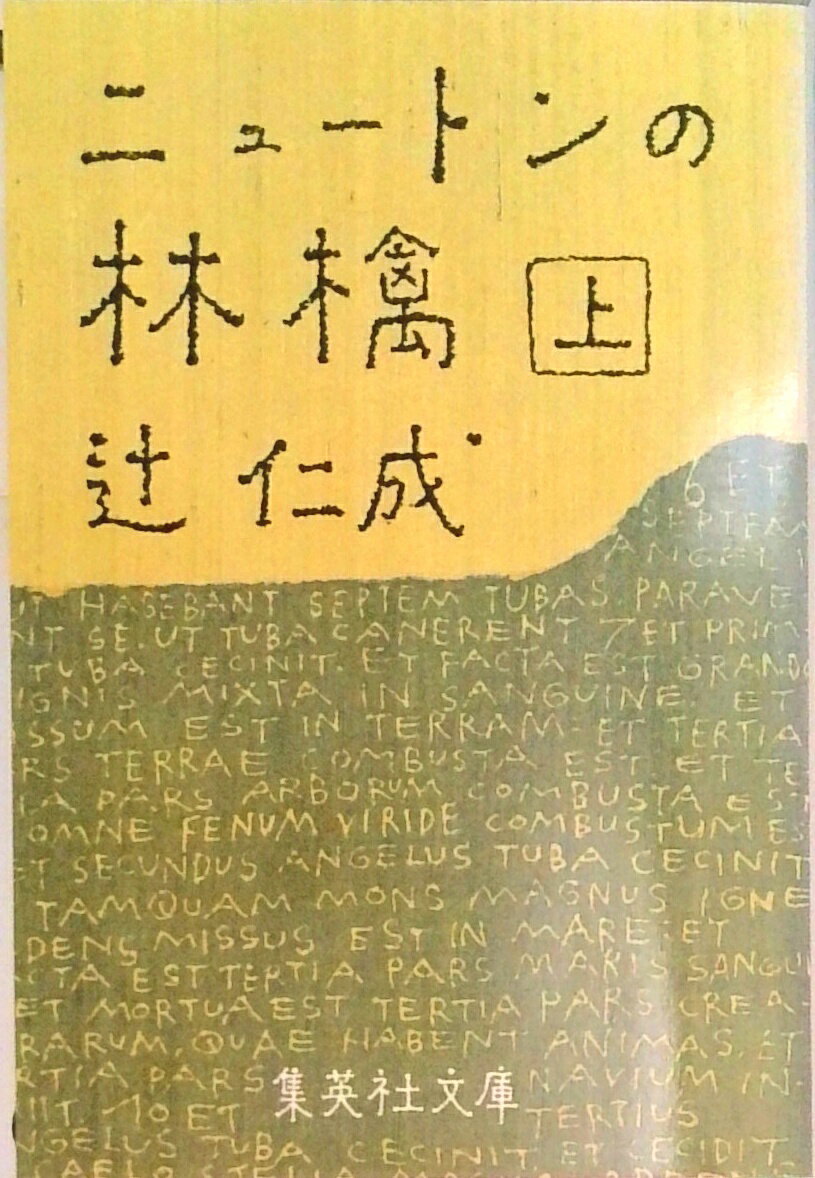 【中古】ニュ-トンの林檎 上 /集英社/辻仁成（文庫）