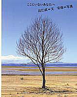 【中古】ここにいないあなたへ /集英社/辻仁成（単行本）