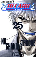 【中古】BLEACH 25/集英社/久保帯人（ペーパーバック）