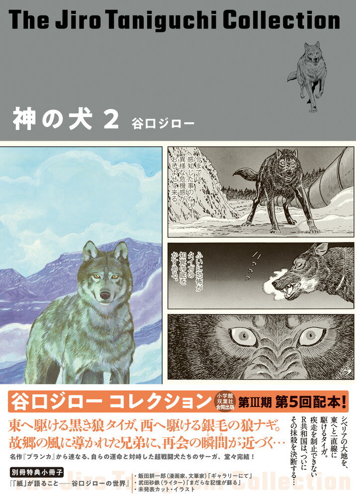 【中古】神の犬 2/小学館/谷口ジロー（単行本）
