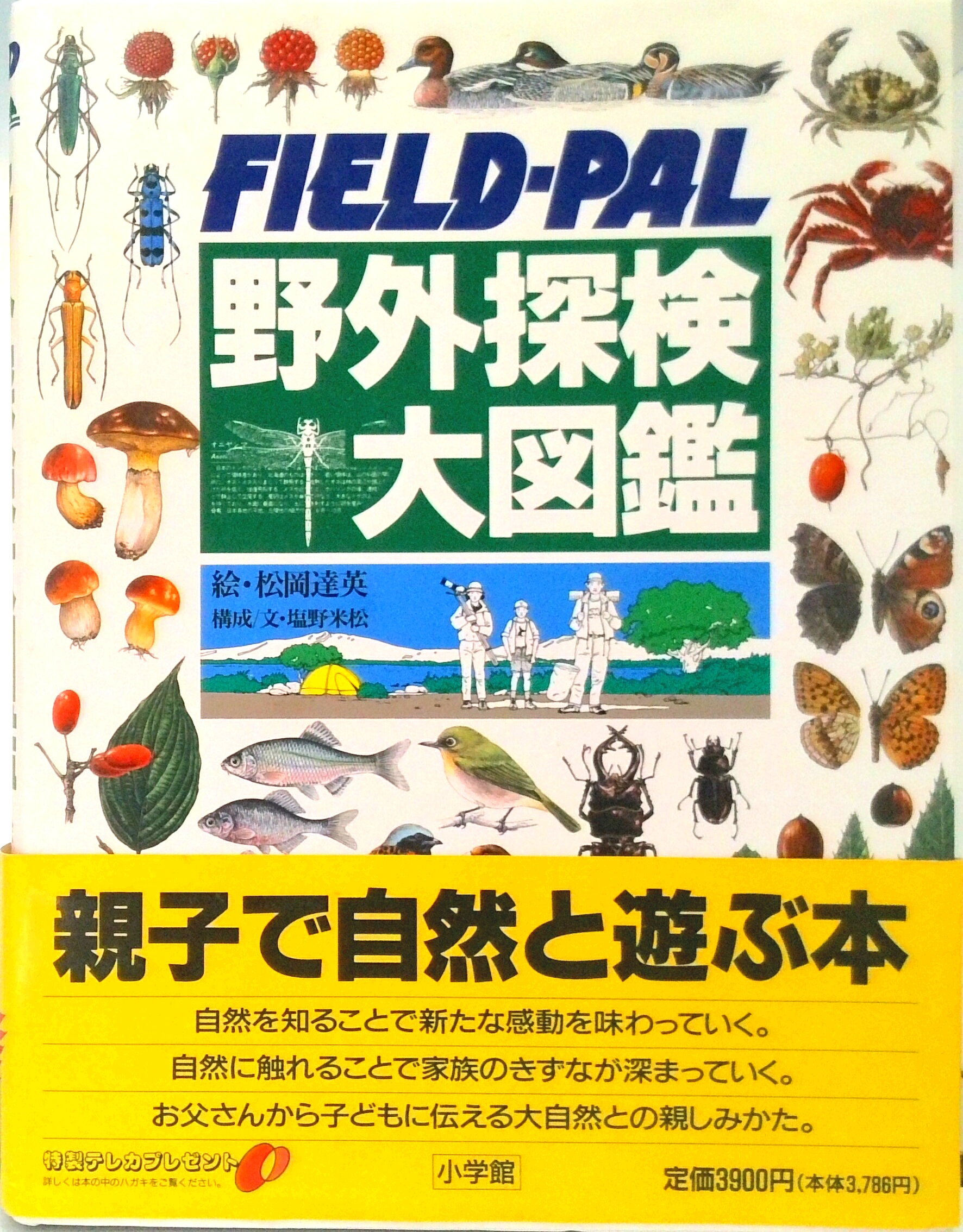 【中古】野外探検大図鑑 Field-pal /小学館/松岡達英（大型本）