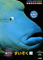 【中古】原寸大すいぞく館 /小学館/さかなクン（ハードカバー）