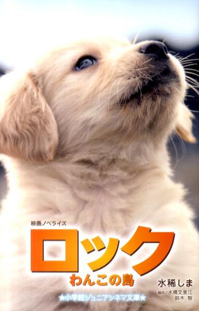 【中古】ロックわんこの島 /小学館/水稀しま（単行本）