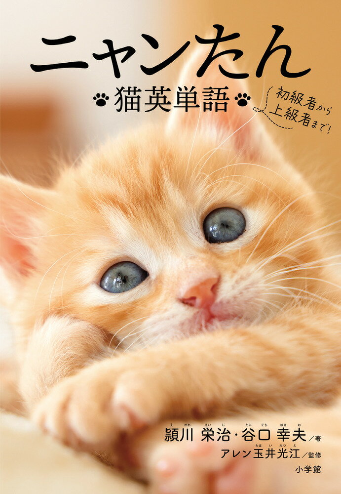 【中古】ニャンたん 猫英単語/小学館/頴川栄治（単行本）