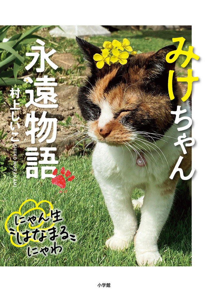 šۤߤʱʪ/ش/¼夷ñܡ