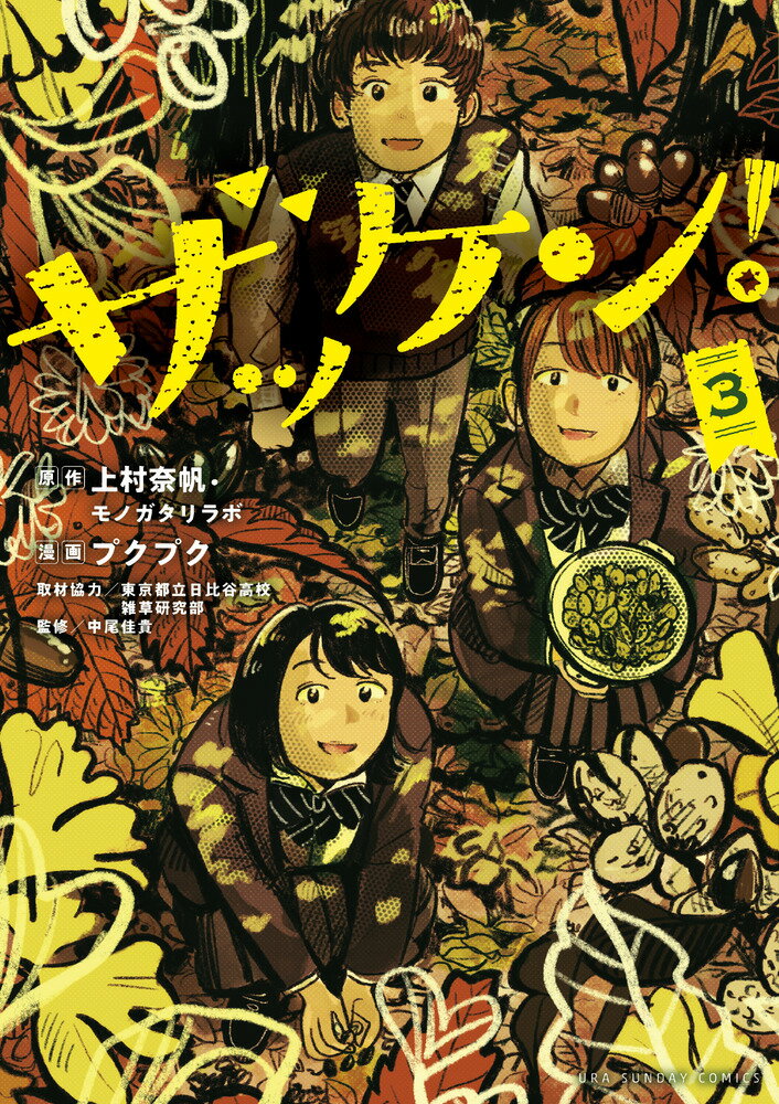 【中古】ザッケン！ 3/小学館/上村奈帆（コミック）