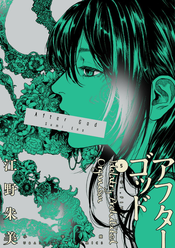 【中古】アフターゴッド 5/小学館/江野朱美（コミック）