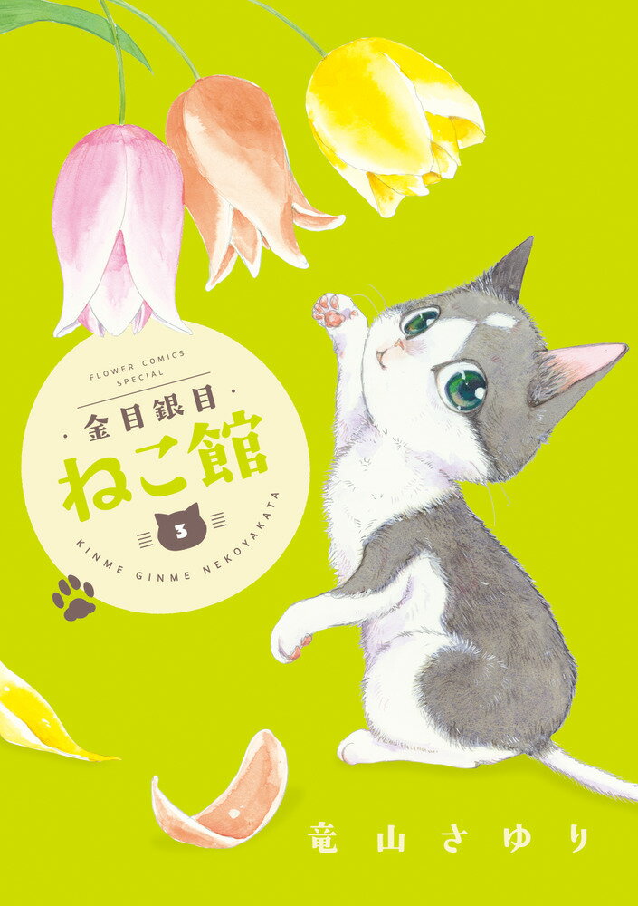 【中古】金目銀目ねこ館 3/小学館/竜山さゆり（コミック）