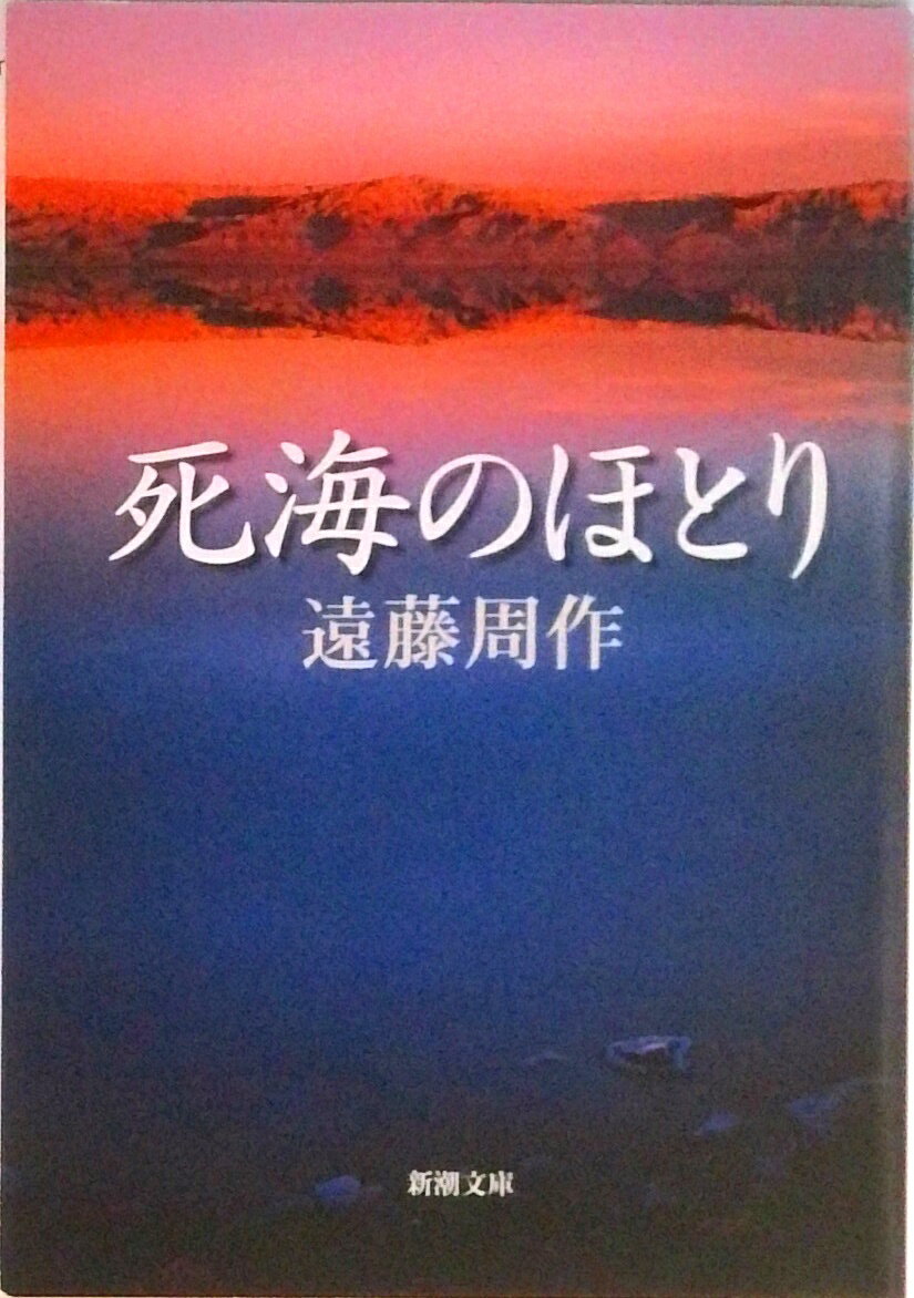 VALUE BOOKS㤨֡šۻ೤ΤۤȤ /Ĭ/ƣʸˡˡפβǤʤ505ߤˤʤޤ