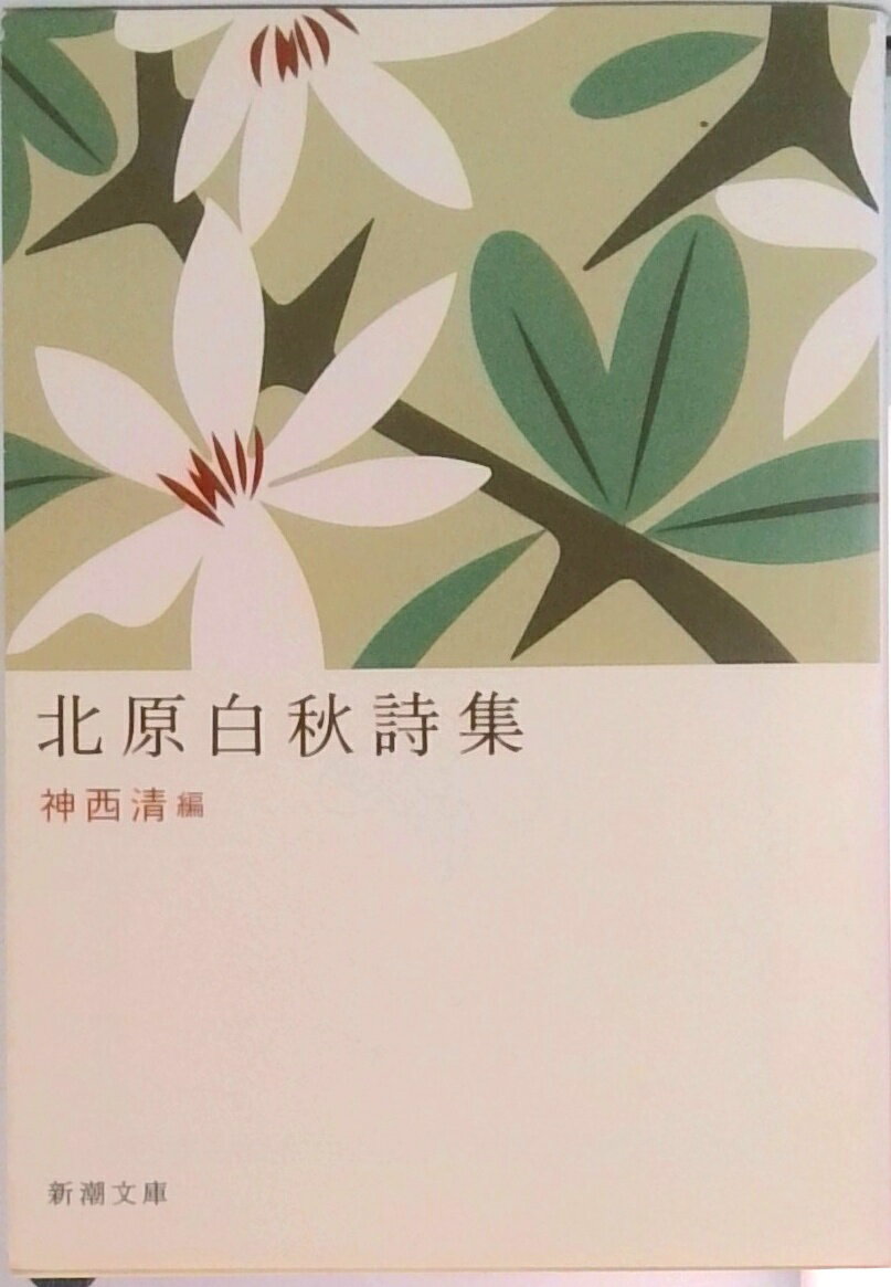 š̸򽩻 /Ĭ/̸򽩡ʸˡ