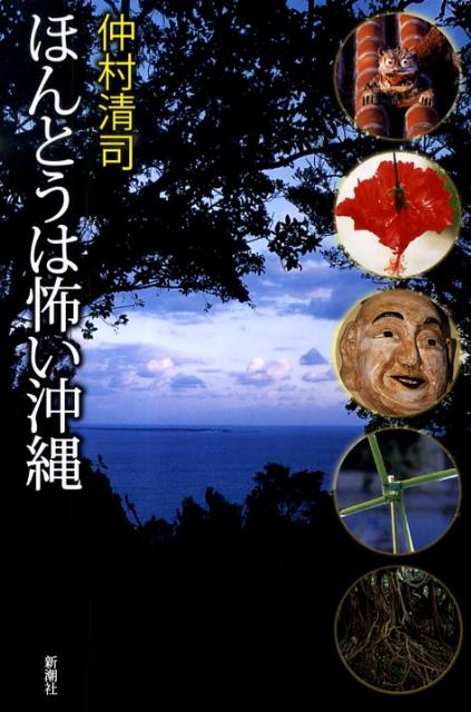 【中古】ほんとうは怖い沖縄 /新潮社/仲村清司（単行本）