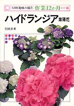 【中古】ハイドランジア 紫陽花 /NHK出版/花岡喜重（単行本）