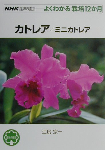 【中古】カトレア／ミニカトレア /NHK出版/江尻宗一（単行本（ソフトカバー））
