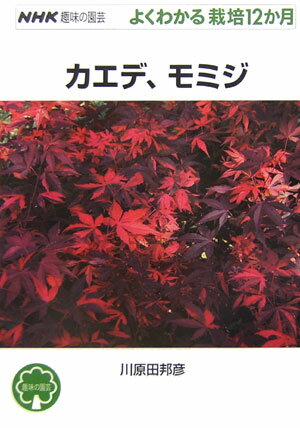 【中古】カエデ、モミジ /NHK出版/川原田邦彦（単行本（ソフトカバー））