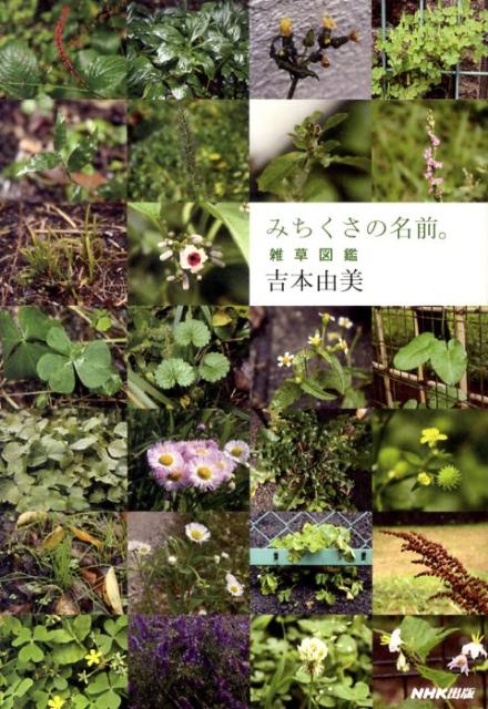 【中古】みちくさの名前。 雑草図鑑 /NHK出版/吉本由美（単行本（ソフトカバー））