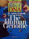 【中古】遺伝子・DNA 驚異の小宇宙・人体3 2/NHK出版/日本放送協会（大型本）