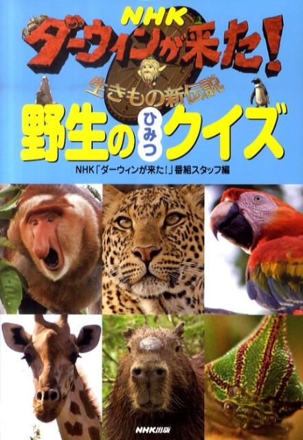 【中古】NHKダ-ウィンが来た！野生のひみつクイズ 生きもの新伝説 /NHK出版/日本放送協会（単行本（ソフトカバー））