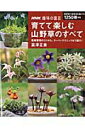 【中古】育てて楽しむ山野草のすべて 栽培管理のコツから、ス-パ-テクニックまで紹介! /NHK出版/富澤正美(ムック)