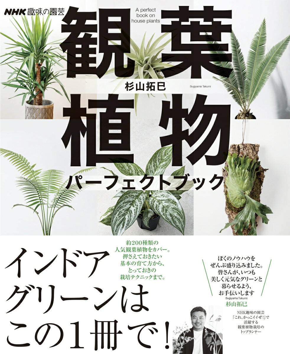 【中古】観葉植物パーフェクトブック/NHK出版/杉山拓巳（ムック）
