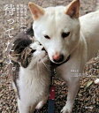 【中古】待ってたよ。 北海道犬ナナちゃんと野良猫ヒロちゃんの早朝ものがた /徳間書店/三遊亭あほまろ(単行本(ソフトカバー))
