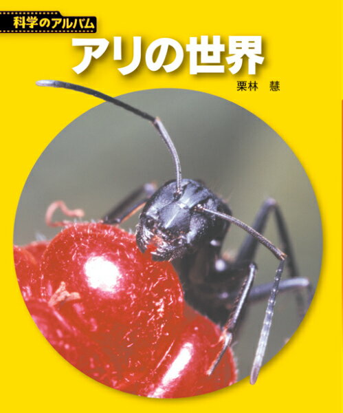 【中古】アリの世界 新装版/あかね書房/栗林慧（単行本）