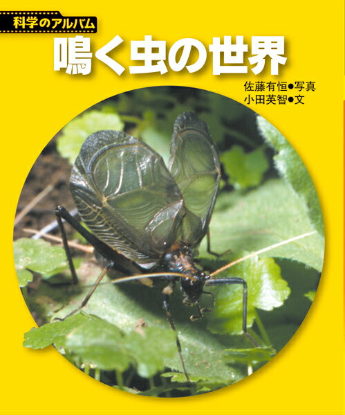 【中古】鳴く虫の飼い方 :スズムシ,マツムシ,カンタン,クサヒバリ,カネタタキ／小野公男 著／ニュー・サイエンス社 中古】鳴く虫の飼い方 :スズムシ，マツムシ，カンタン，クサヒバリ