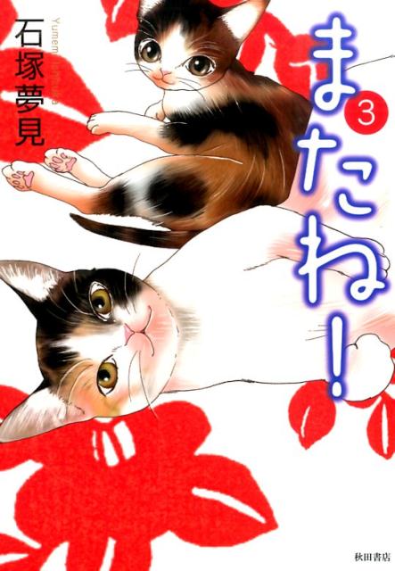 【中古】またね！ 3 /秋田書店/石塚夢見（コミック）
