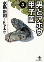 【中古】男どアホウ甲子園 3/秋田書店/水島新司(文庫)