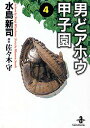 【中古】男どアホウ甲子園 4/秋田書店/水島新司(文庫)