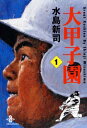 【中古】大甲子園 文庫全17巻 完結セット (秋田文庫)(文庫) 全巻セット