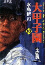 【中古】大甲子園 10 /秋田書店/水島新司(文庫)