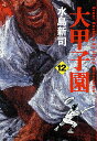 【中古】大甲子園 12/秋田書店/水島新司(文庫)