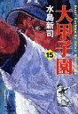 【中古】大甲子園 15/秋田書店/水島新司(文庫)