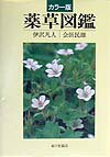 【中古】薬草図鑑 カラ-版/家の光協会/伊沢凡人（単行本）
