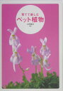 【中古】育てて楽しむペット植物/家の光協会/山根健治(単行本)