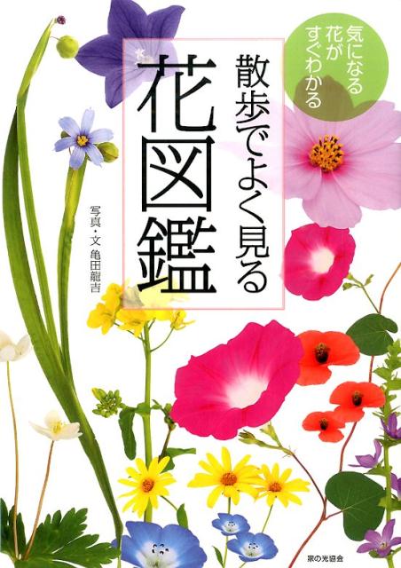 【中古】散歩でよく見る花図鑑 気になる花がすぐわかる /家の光協会/亀田竜吉（単行本）
