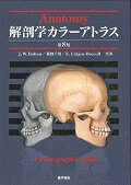 【中古】解剖学カラ-アトラス 第8版/医学書院/ヨハンネス・W．ロ-エン（大型本）