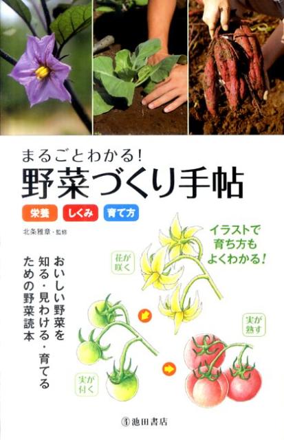 【中古】野菜づくり手帖 栄養・しくみ・育て方 /池田書店/北条雅章（単行本）