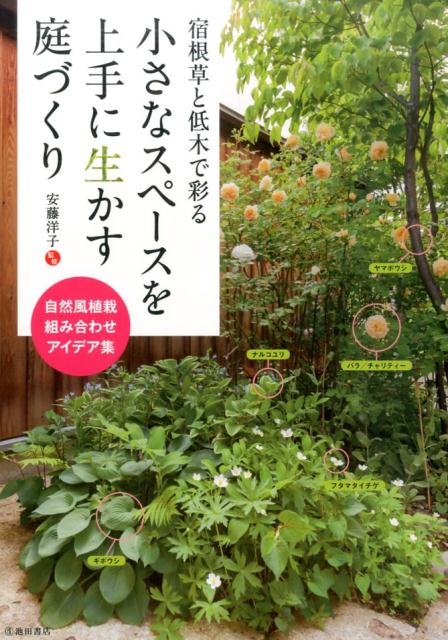 【中古】小さなスペ-スを上手に生かす庭づくり 宿根草と低木で彩る /池田書店/安藤洋子（単行本）