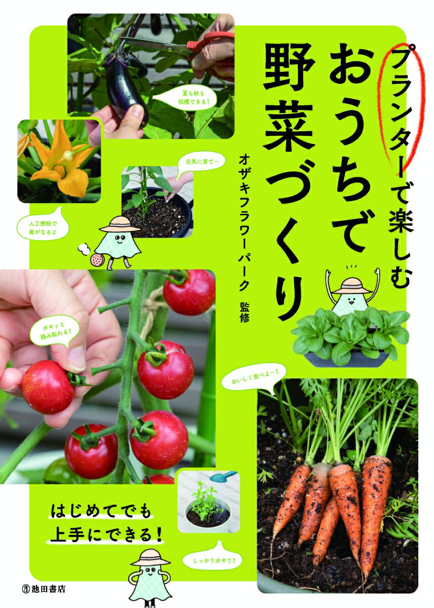 【中古】プランターで楽しむおうちで野菜づくり /池田書店/オザキフラワーパーク（単行本）