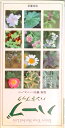【中古】ハ-ブハンドブック /池田書店(文庫)