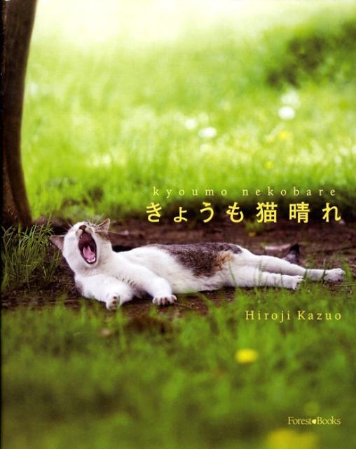 Cat - 【中古】きょうも猫晴れ /いのちのことば社/広路和夫（単行本（ソフトカバー））