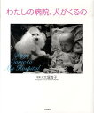 【中古】わたしの病院、犬がくるの /岩崎書店/大塚敦子(単行本)