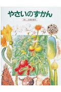 Pictorial Books, Knowledge - 【中古】やさいのずかん /岩崎書店/小宮山洋夫（大型本）