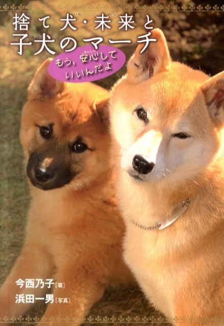 【中古】捨て犬・未来と子犬のマ-チ もう、安心していいんだよ /岩崎書店/今西乃子（単行本）